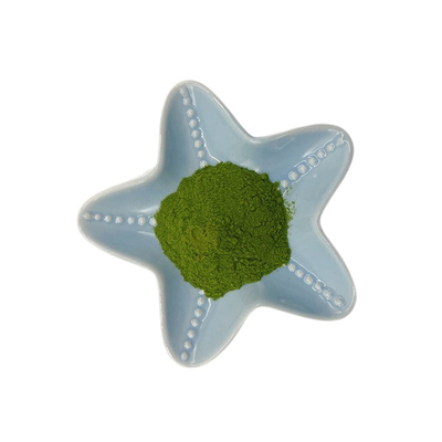 Gibberellin 500 PPM Seaweed Extract Powder Green Seaweed Polysaccharides 40%